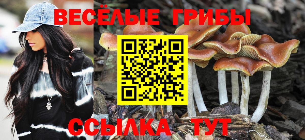 Ковров  Галлюциногенные грибы Psilocybine cubensis  Вход с VPN 